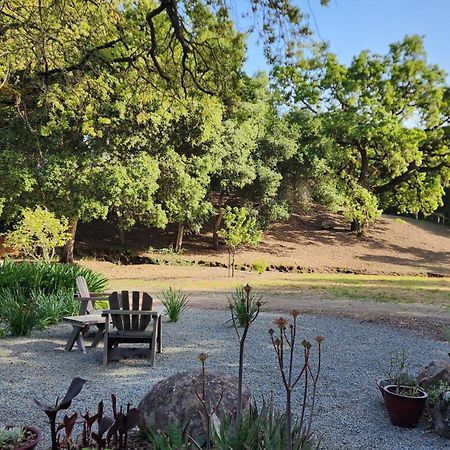 Amitabha Wine Country Cottage Santa Rosa Extérieur photo
