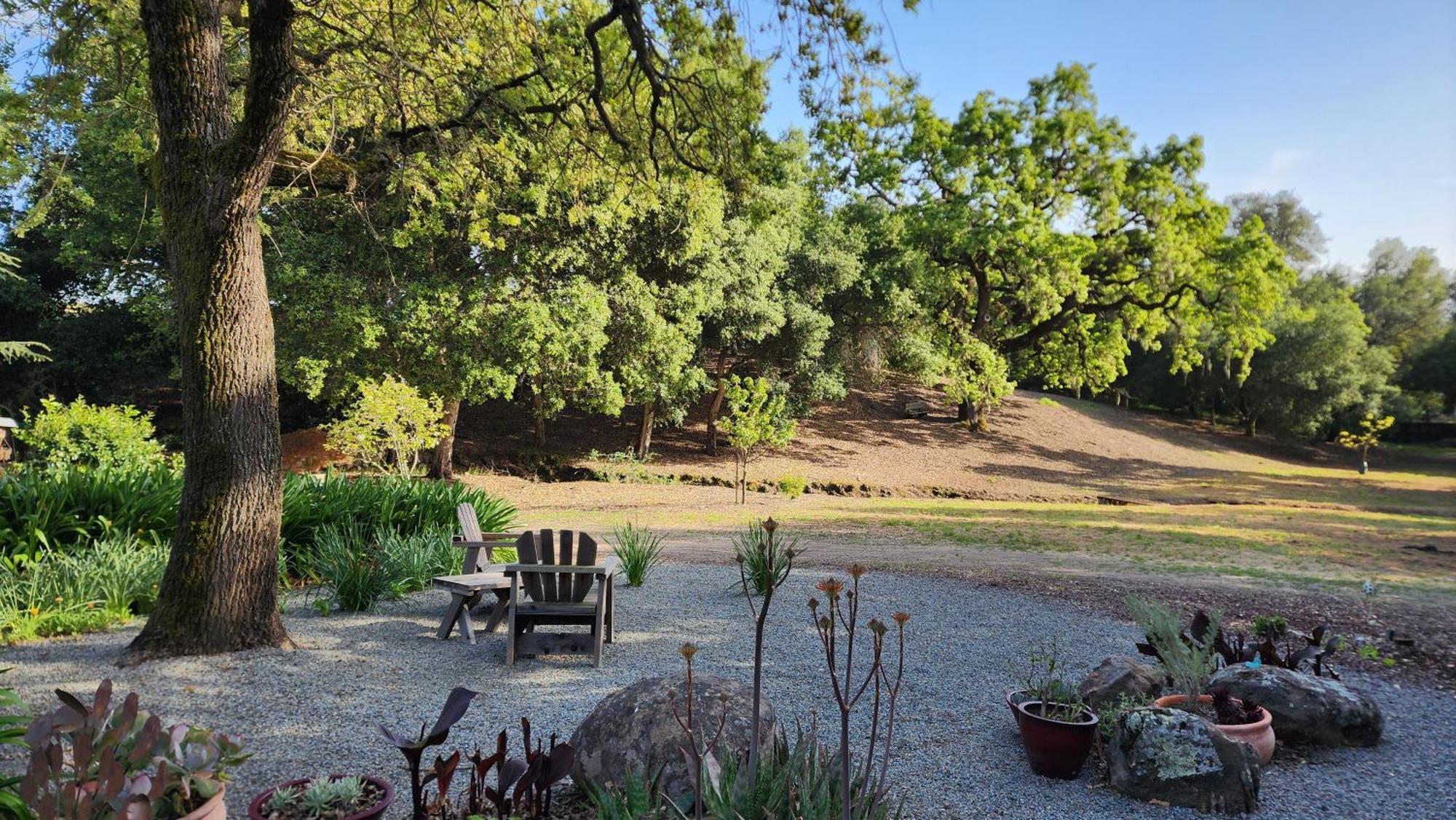 Amitabha Wine Country Cottage Santa Rosa Extérieur photo