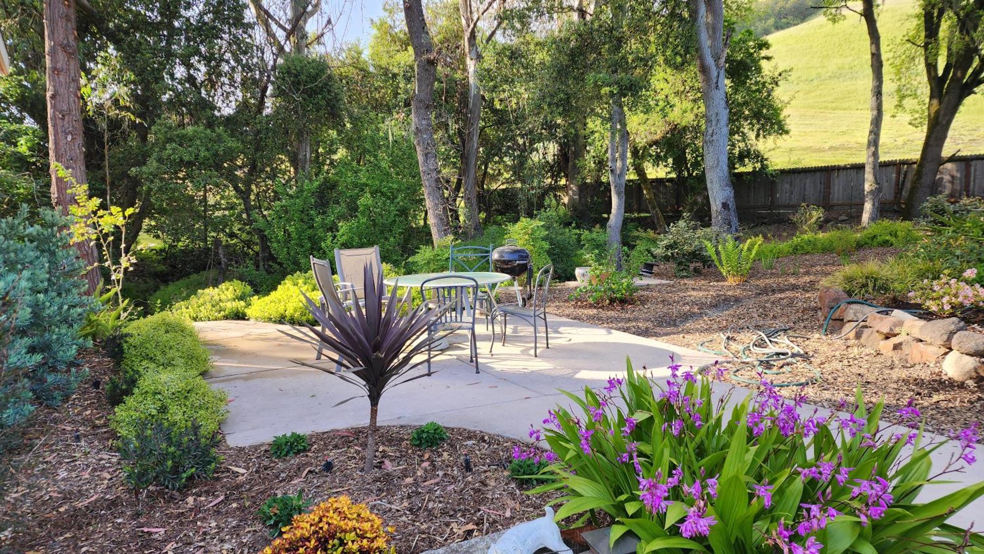 Amitabha Wine Country Cottage Santa Rosa Extérieur photo